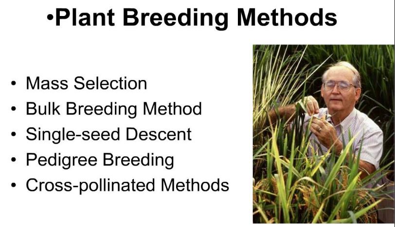 Methods of Plant Breeding